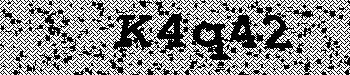 An error has occurred while getting captcha image